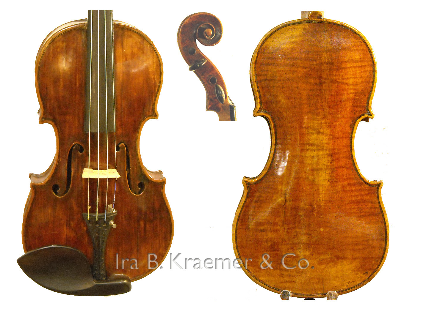 French Violin